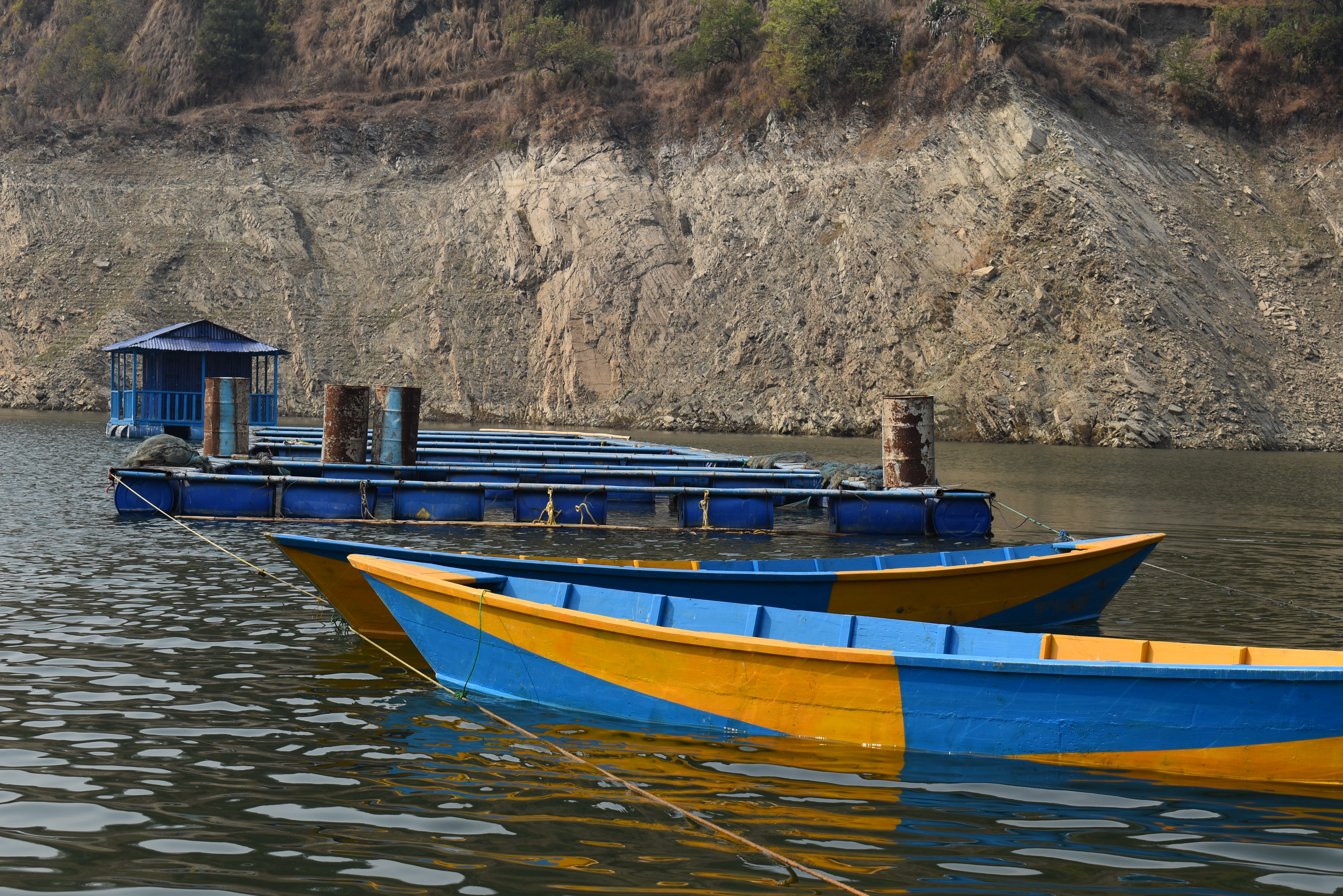 Boat of Office
