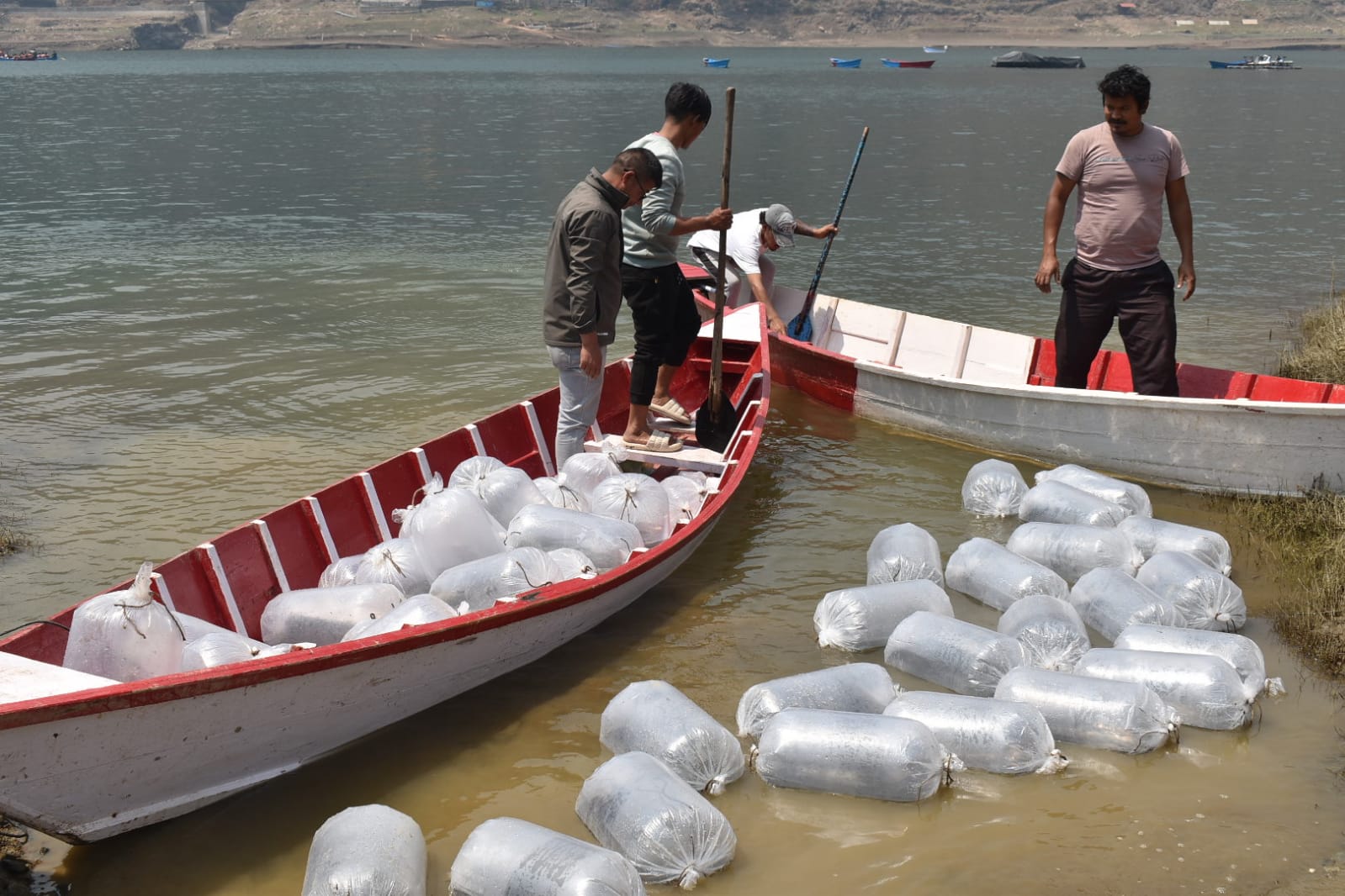 Fish Ranching (2081/12/18)
