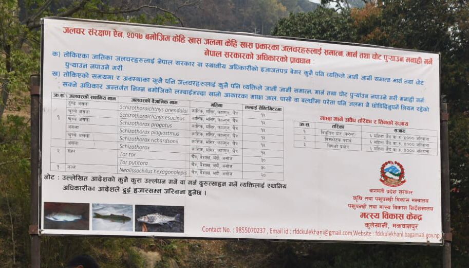रिवरभ्वायर क्षेत्रमा मत्स्य सम्बन्धि सूचनामूलक होर्डिङ्ग